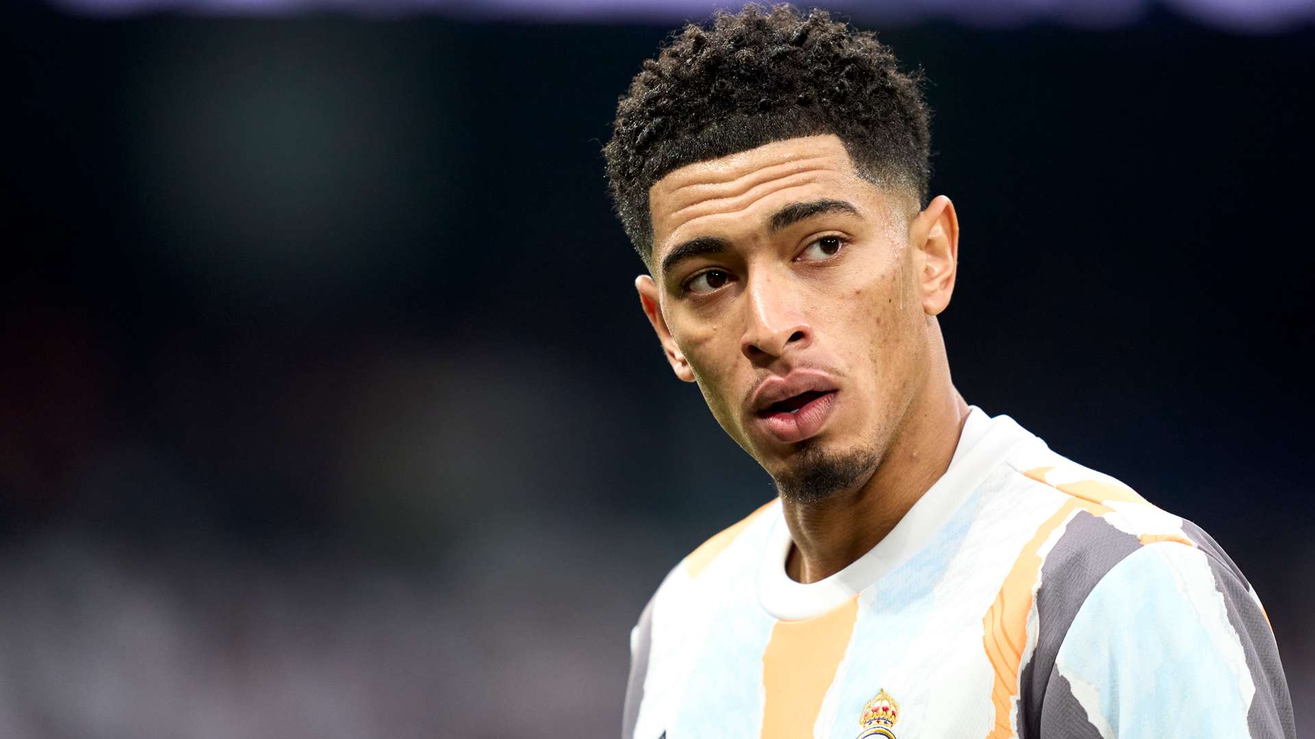 应性不仅限 应性不仅限